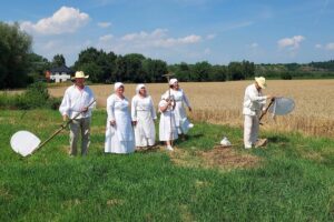 23.07.2022. Sandomierz. Rekonstrukcja żniw / Fot. Grażyna Szlęzak - Radio Kielce