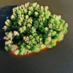 15.07.2022 Sielpia. Zalew / Fot. Jarosław Kubalski - Radio Kielce