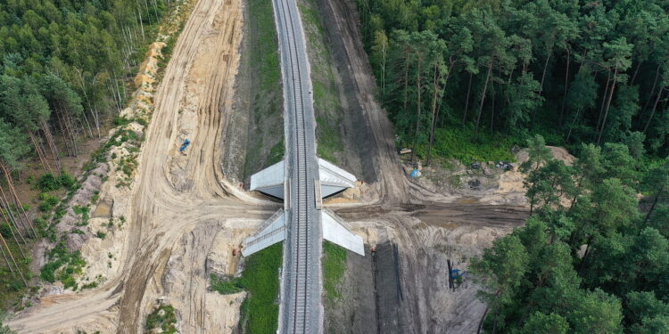 18.07.2022 Łącznica kolejowa - Czarnca - Włoszczowa Północ / Fot. Jarosław Kubalski - Radio Kielce