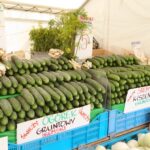 20.07.2022. Kielce. Targowisko miejskie. Ogórki