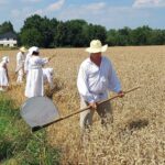 Jak dawniej bywało. Rekonstrukcja staropolskich żniw