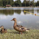 Ośrodek sportowo-rekreacyjny Gutwin / Fot. Emilia Sitarska – Radio Kielce