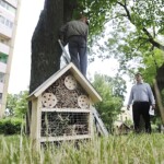 06.07.2022. Kielce. Domki dla owadów na os. Sady / Fot. Jarosław Kubalski - Radio Kielce