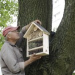 06.07.2022. Kielce. Domki dla owadów na os. Sady / Fot. Jarosław Kubalski - Radio Kielce