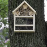 06.07.2022. Kielce. Domki dla owadów na os. Sady / Fot. Jarosław Kubalski - Radio Kielce