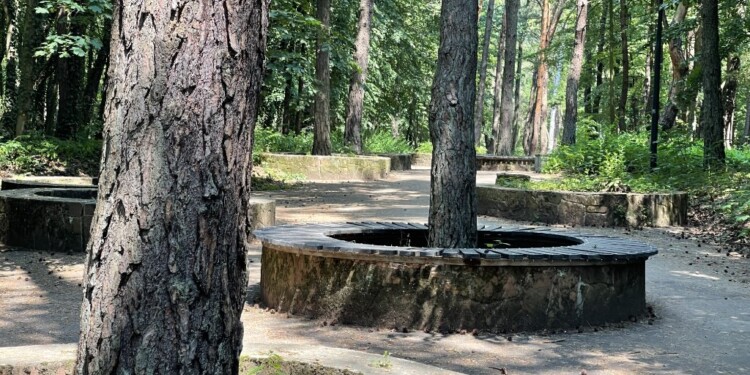 Kielce. Park Baranowski / Fot. Jarosław Kubalski - Radio Kielce