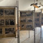 31.07.2022. Sandomierz. Wystawa „Fotografista”. / Fot. Grażyna Szlęzak - Radio Kielce