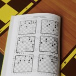 05.07.2022. Kielce. Park Miejski. Wakacyjna Szachowa Radia Kielce / Fot. Jarosław Kubalski - Radio Kielce