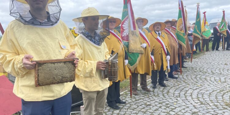 31.07.2022. Sandomierz. Pierwsze Powiatowe Święto Miodu. Na zdjęciu pszczelarze wyróżnieni odznaką Polskiego Związku Pszczelarzy. / Fot. Grażyna Szlęzak - Radio Kielce.