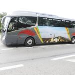 Bezpłatny autokar wraca na Święty Krzyż