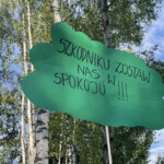 04.07.2022 Starachowice. Protest w sprawie wycinki drzew / Fot. Anna Głąb - Radio Kielce