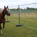 09.07.2022. Opatowiec. XXII Świętokrzyski Młodzieżowy Czempionat Koni Rasy Małopolskiej / Fot. Marta Gajda-Kruk - Radio Kielce