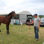 09.07.2022. Opatowiec. XXII Świętokrzyski Młodzieżowy Czempionat Koni Rasy Małopolskiej / Fot. Marta Gajda-Kruk - Radio Kielce