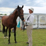 09.07.2022. Opatowiec. XXII Świętokrzyski Młodzieżowy Czempionat Koni Rasy Małopolskiej / Fot. Marta Gajda-Kruk - Radio Kielce