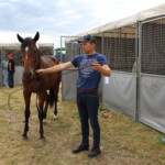 09.07.2022. Opatowiec. XXII Świętokrzyski Młodzieżowy Czempionat Koni Rasy Małopolskiej / Fot. Marta Gajda-Kruk - Radio Kielce