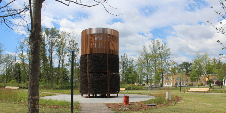 13.07.2022. Solec-Zdrój. Rewitalizacja / Fot. Marta Gajda-Kruk - Radio Kielce