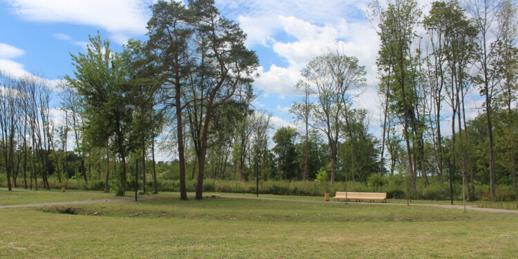 13.07.2022. Solec-Zdrój. Rewitalizacja / Fot. Marta Gajda-Kruk - Radio Kielce