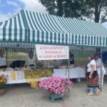 03.07.2022. Dwikozy. Święto pomidora / Fot. Grażyna Szlęzak - Radio Kielce