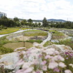 16.07.2022. Kielce. Ogród botaniczny / Fot. Wiktor Taszłow - Radio Kielce
