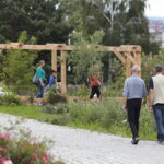 16.07.2022. Kielce. Ogród botaniczny / Fot. Wiktor Taszłow - Radio Kielce