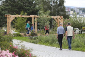 16.07.2022. Kielce. Ogród botaniczny / Fot. Wiktor Taszłow - Radio Kielce