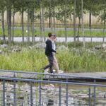 16.07.2022. Kielce. Ogród botaniczny / Fot. Wiktor Taszłow - Radio Kielce