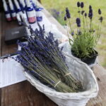 31.07.2022. Tokarnia. Muzeum etnograficzne. Wiejskie SPA / Fot. Wiktor Taszłow - Radio Kielce