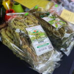 31.07.2022. Tokarnia. Muzeum etnograficzne. Wiejskie SPA / Fot. Wiktor Taszłow - Radio Kielce