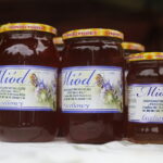 31.07.2022. Tokarnia. Muzeum etnograficzne. Wiejskie SPA / Fot. Wiktor Taszłow - Radio Kielce