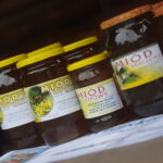 31.07.2022. Tokarnia. Muzeum etnograficzne. Wiejskie SPA / Fot. Wiktor Taszłow - Radio Kielce