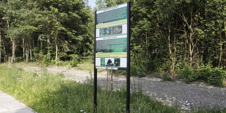 22.07.2022 Umer. Zalew/ Fot. Jarosław Kubalski - Radio Kielce