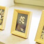 28.07.2022 Kielce. Muzeum Historii Kielc. Wystawa prac Katarzyny Zawiszy/ Fot. Jarosław Kubalski - Radio Kielce