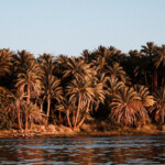 02.07.2022. Muzyczne podróże. Egipt / Fot. Ola i Bartek Drożdżal