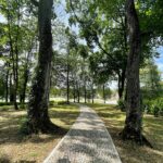 Morawica. Park / Fot. Wiktor Taszłow - Radio Kielce