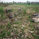 Zamek-dwór w Kazanowie Starym / Fot. zamki.pl