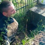 06.07.2022. Tumlin-Podgród. Strażacy uwolnili uwięzionego w przepuście psa / Fot. OSP Miedziana Góra