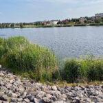 Zalew w Morawicy / Fot. Daniel Czwartosz - Radio Kielce