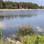 Zalew w Morawicy / Fot. Daniel Czwartosz - Radio Kielce