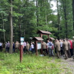 13.07.2022 Michniów. Leśna Droga Krzyżowa / Fot. Paulina Michta - Radio Kielce
