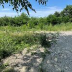 22.07.2022. Kielce. Plac pod budowę nowej siedziby NFZ przy ul. Langiewicza / Fot. Wiktor Taszłow - Radio Kielce