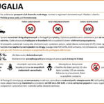 Samochodem na wakacje. Opłaty za drogi i ceny paliw w Europie - Radio Kielce Portugalia / źródło: GDDKiA