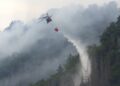 Czechy. Polscy strażacy w akcji gaśniczej / Fot. Państwowa Straż Pożarna
