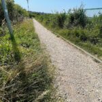 Porządkują rezerwat Ślichowice, ale dopiero po interwencji radnego - Radio Kielce 21.07.2022. Kielce. Ślichowice. Rezerwat skalny