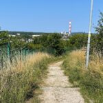 Porządkują rezerwat Ślichowice, ale dopiero po interwencji radnego - Radio Kielce 21.07.2022. Kielce. Ślichowice. Rezerwat skalny