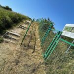 Porządkują rezerwat Ślichowice, ale dopiero po interwencji radnego - Radio Kielce 21.07.2022. Kielce. Ślichowice. Rezerwat skalny