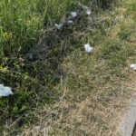 Porządkują rezerwat Ślichowice, ale dopiero po interwencji radnego - Radio Kielce 21.07.2022. Kielce. Ślichowice. Rezerwat skalny