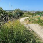 Porządkują rezerwat Ślichowice, ale dopiero po interwencji radnego - Radio Kielce 21.07.2022. Kielce. Ślichowice. Rezerwat skalny