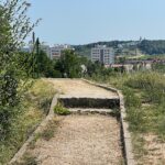 Porządkują rezerwat Ślichowice, ale dopiero po interwencji radnego - Radio Kielce 21.07.2022. Kielce. Ślichowice. Rezerwat skalny