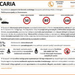 Samochodem na wakacje. Opłaty za drogi i ceny paliw w Europie - Radio Kielce Szwajcaria / źródło: GDDKiA