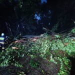 01.07.2022. Skutki burzy / Ochotnicza Straż Pożarna Kielce - Niewachlów